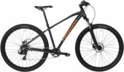 Principia A2.9 29" - Mountainbike - Blank Grå - 17"